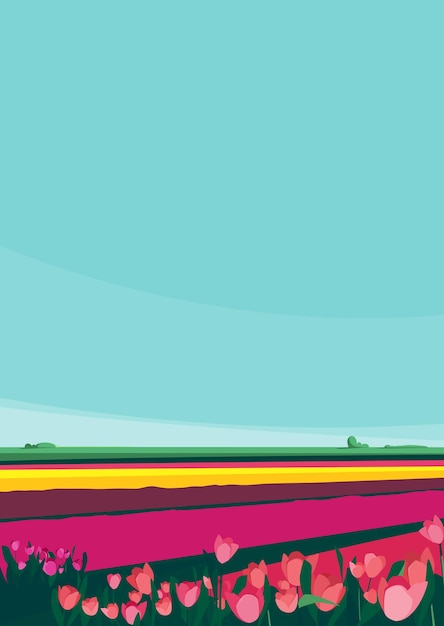 Fields with tulips of different colors