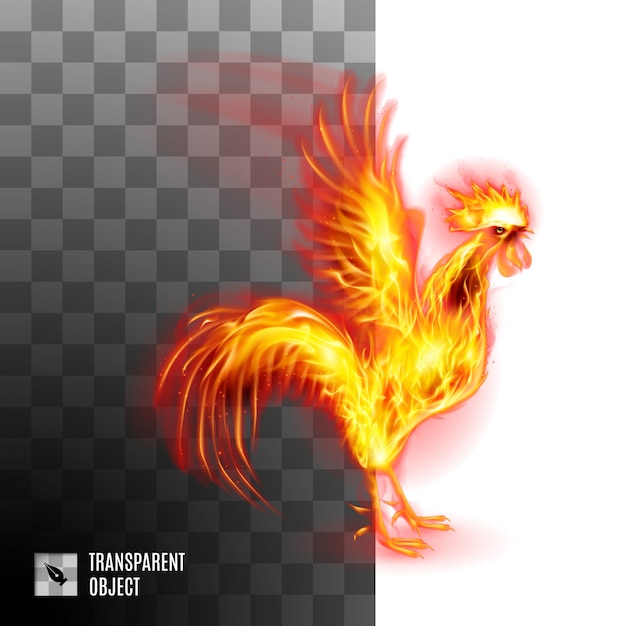 Vector fiery golden rooster