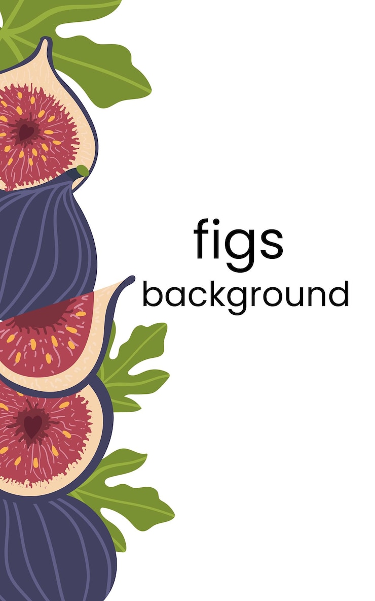 Vector fig fresh tropic fruit banner. cartoon color vector border, frame for design menus, cookbooks, cards, posters. isolated illustration on a white background.