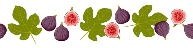 Fig, geheel en half, blad geïsoleerd op wit. Zomer tropisch fruit voor een gezonde levensstijl