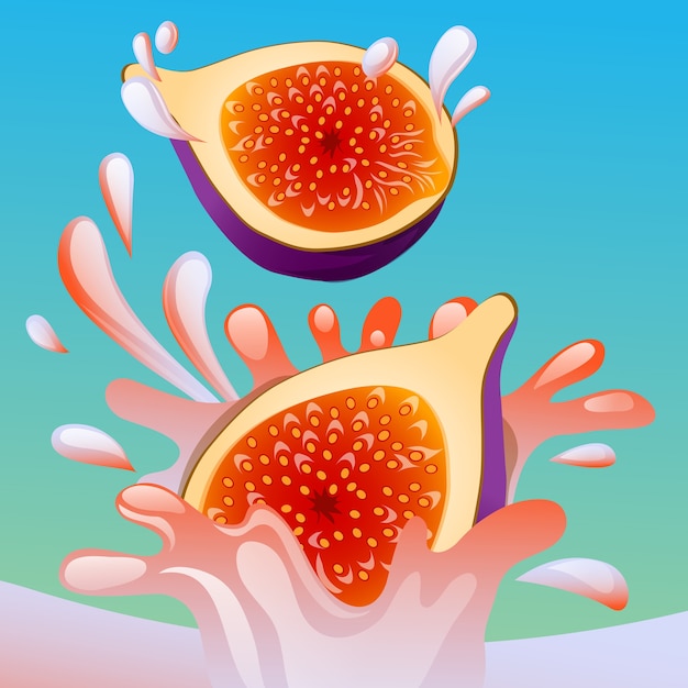 Fig splash vector