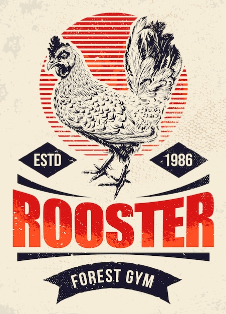 Fighting Rooster Design. Retro styled design template with engraving cock art. Vintage print design.