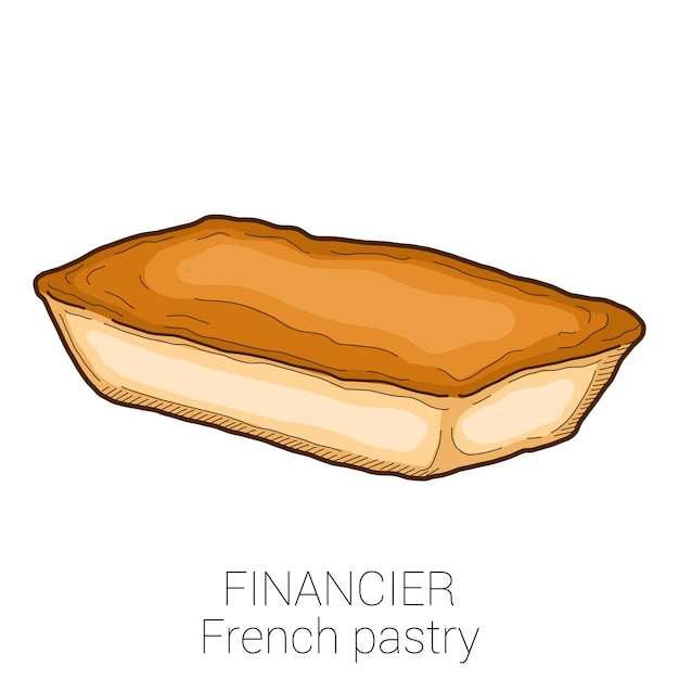 Financier french pastry pattiserie cake colorful vector illustration