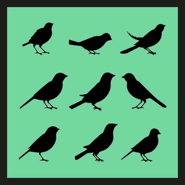 Finch bird silhouette set