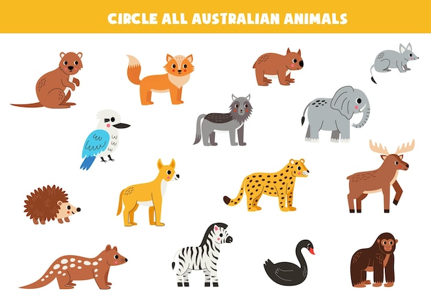 Vettore trova e cerchia tutti gli animali australiani gioco logico per bambini