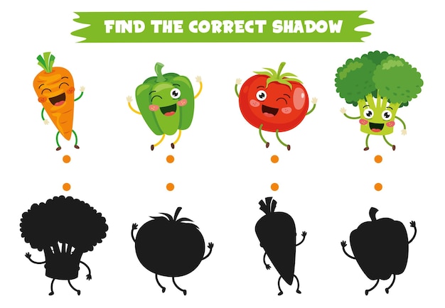 Find The Correct Shadow Activity