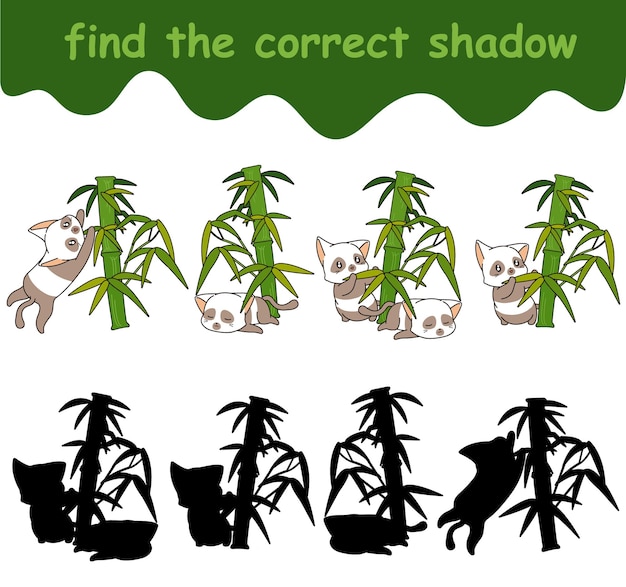 Find the correct shadow of adorable panda cat character