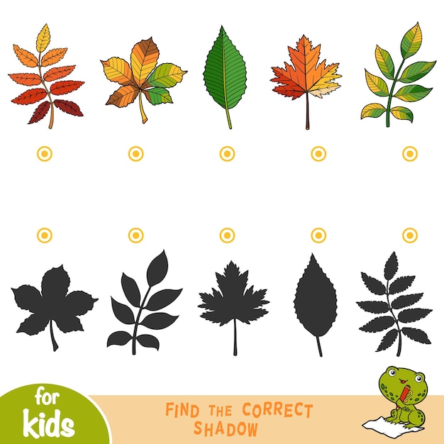 Vector find the correct shadow, education game for children, set of leafs