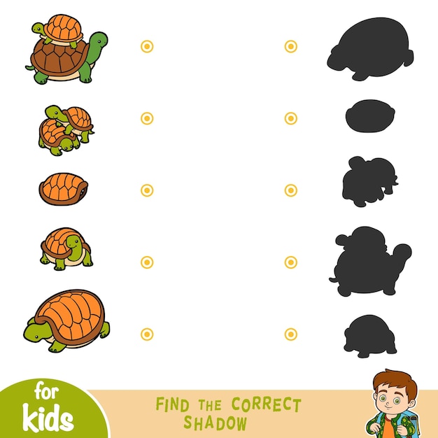 Find the correct shadow education game for children Set of tortoises