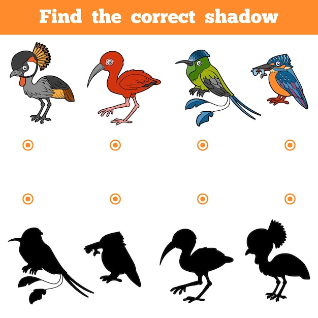 Find the correct shadow, education game for children. Vector set of birds