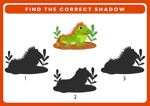 Find the correct shadow educational game for kids cartoon vector illustration