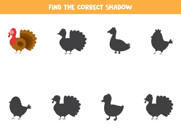 Find the correct shadow of farm turkey Logical puzzle for kids