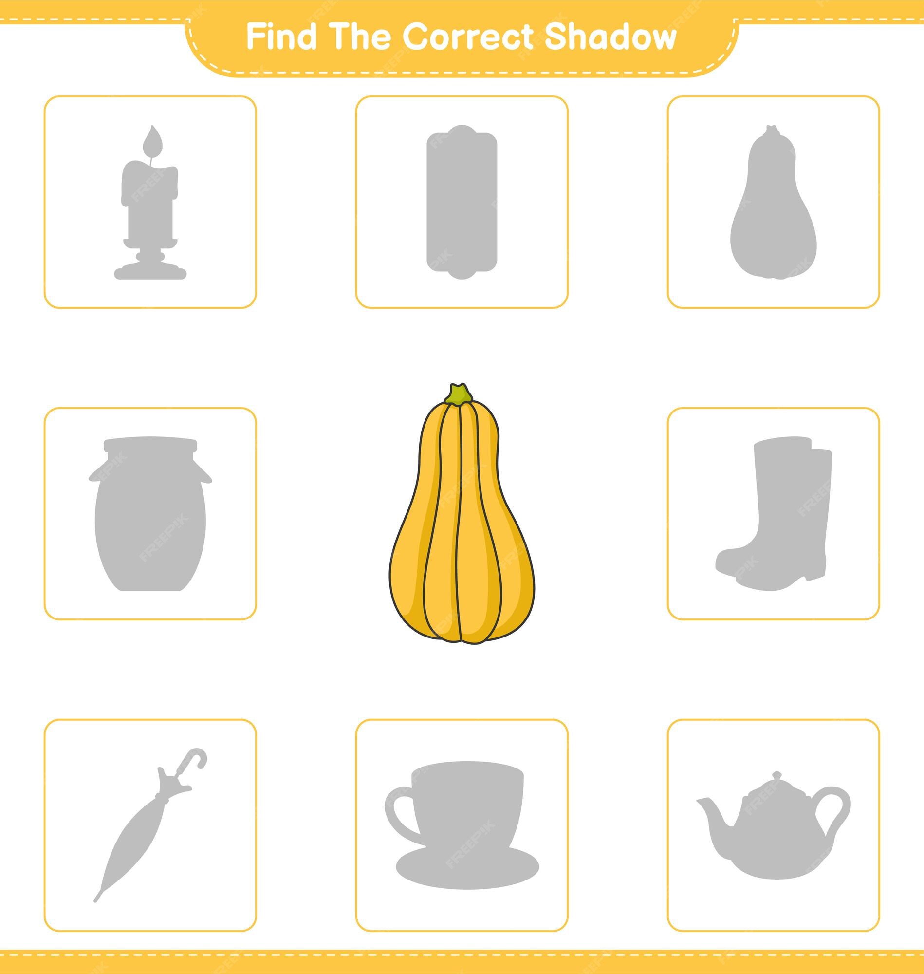 Premium Vector  Find the correct shadow. find and match the