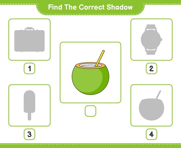 Find the correct shadow find and match the correct shadow of coconut educational children game