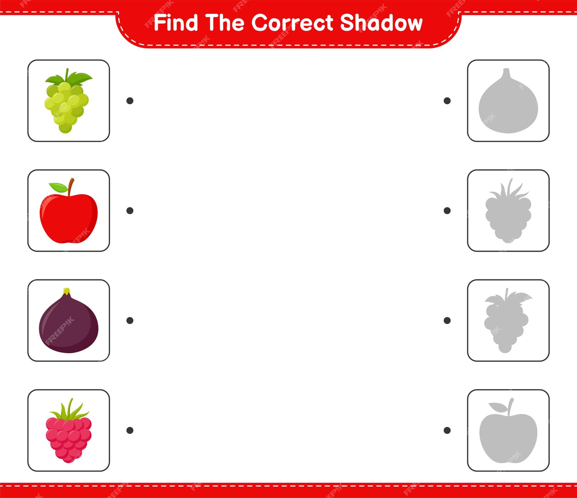 Premium Vector  Find the correct shadow find and match the