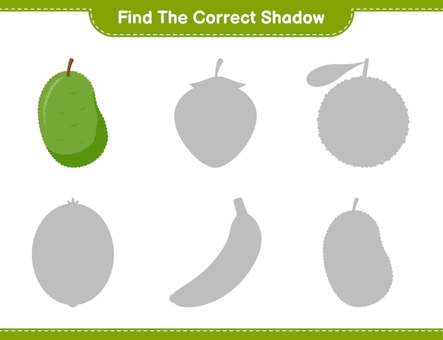 올바른 그림자를 찾으십시오. Jackfruit의 올바른 그림자를 찾아 일치시킵니다. 교육용 어린이 게임, 인쇄 가능한 워크 시트