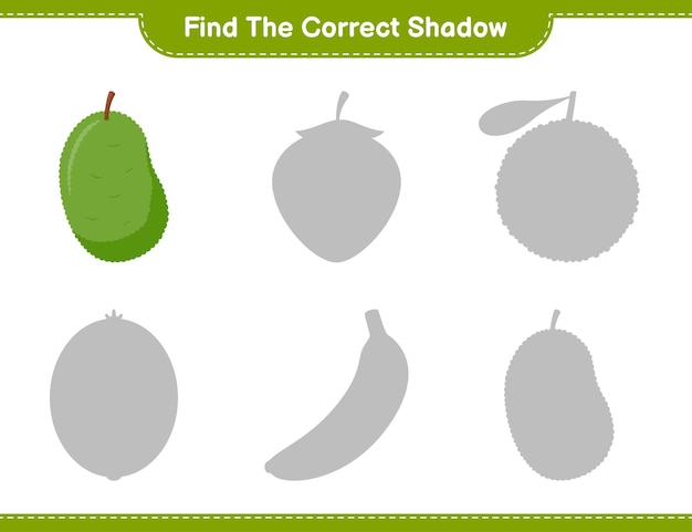 Найдите правильную тень. Найдите и сопоставьте правильную тень Джекфрута. Развивающая детская игра, лист для печати