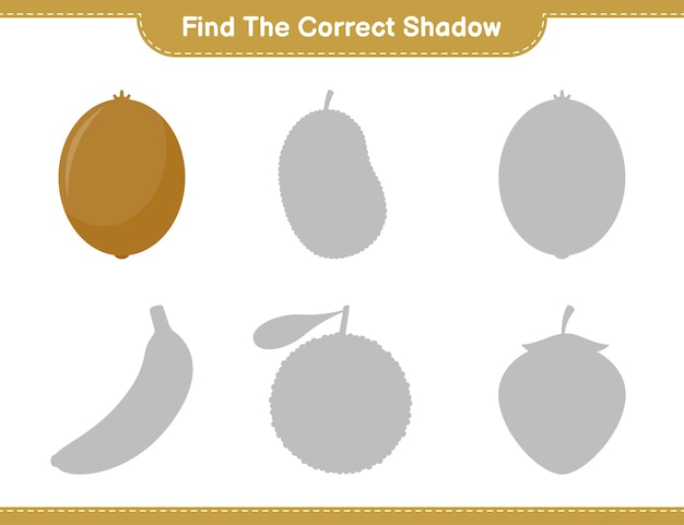 Find the correct shadow. Find and match the correct shadow of Kiwi. Educational children game, printable worksheet