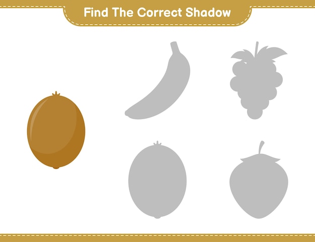 Find the correct shadow. Find and match the correct shadow of Kiwi. Educational children game, printable worksheet 