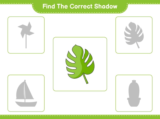 Find the correct shadow Find and match the correct shadow of Monstera Educational children game