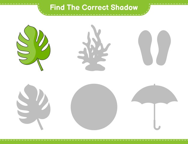 Find the correct shadow Find and match the correct shadow of Monstera Educational children game