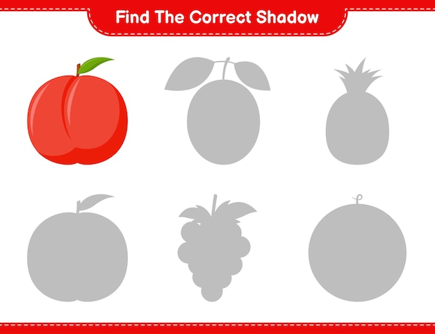 Find the correct shadow. Find and match the correct shadow of Nectarine. Educational children game, printable worksheet