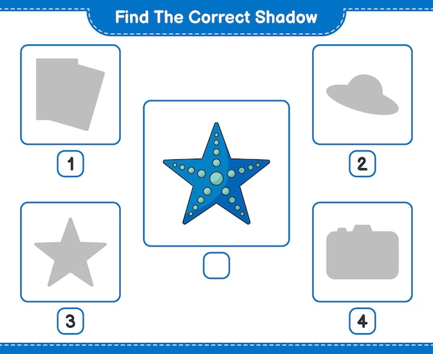 Find the correct shadow. Find and match the correct shadow of Starfish. Educational children game, printable worksheet, vector illustration