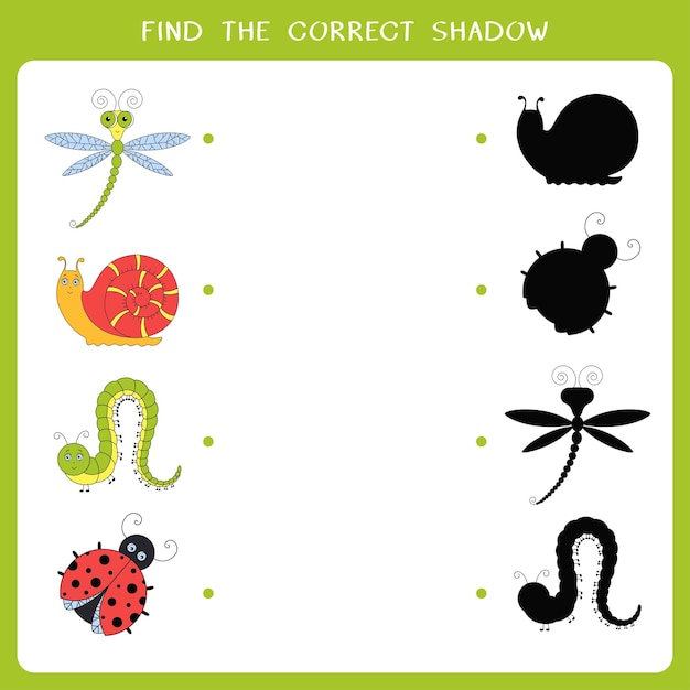 Find the correct shadow for insects