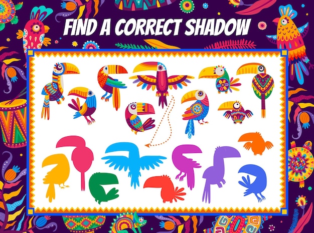 Find correct shadow mexican and brazilian toucans