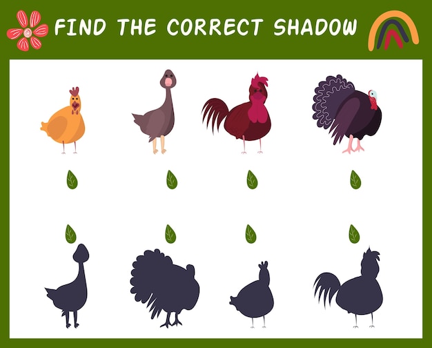 Find the correct shadow with farm birds x9