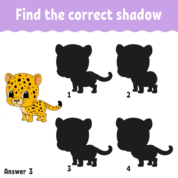 Find the correct shadow. 