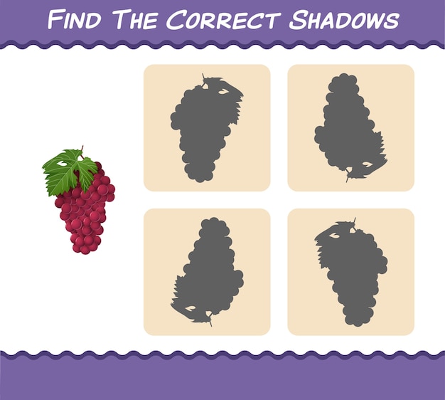 Find the correct shadows of cartoon red grape