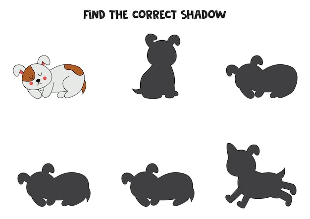 Find the correct shadows of cute brown dog Logical puzzle for kids