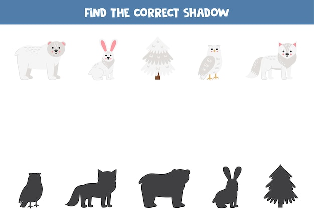 귀여운 북극 동물의 정확한 그림자 찾기 아이들을 위한 논리 퍼즐
