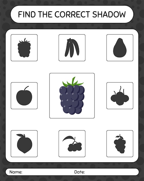 Find the correct shadows game with blackberry. worksheet for preschool kids, kids activity sheet