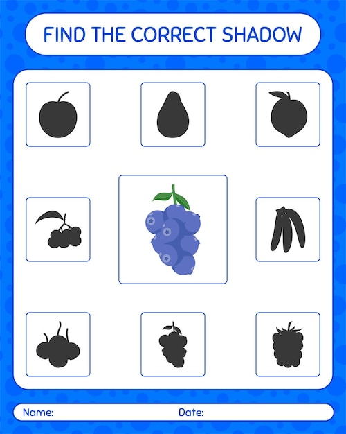 Find the correct shadows game with blueberry. worksheet for preschool kids, kids activity sheet