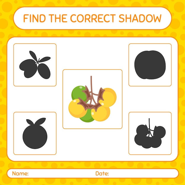 Vector find the correct shadows game with nance. worksheet for preschool kids, kids activity sheet