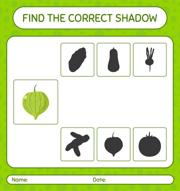 Find the correct shadows game with tomatillo worksheet for preschool kids kids activity sheet