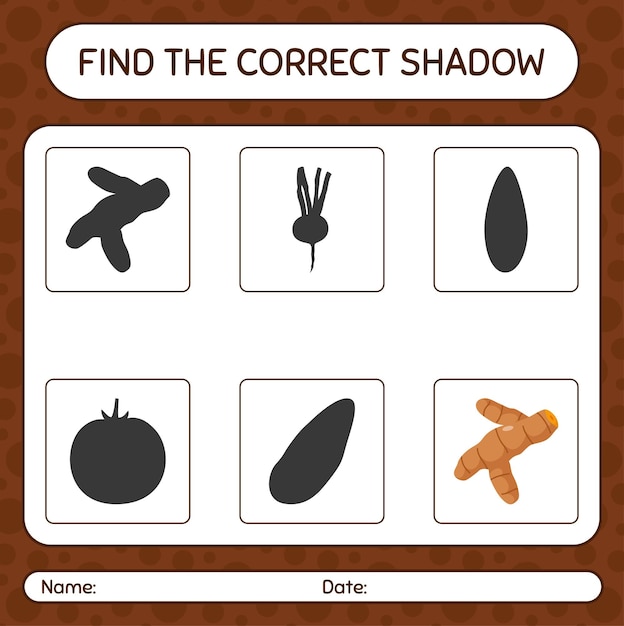 Find the correct shadows game with turmeric worksheet for preschool kids kids activity sheet