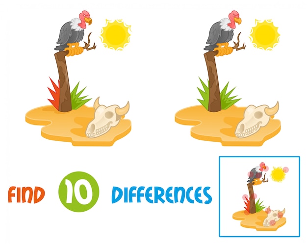 Find differences logic education interactive game for children island with hot sun desert view with gold yellow sand dry old tree on which sits big angry bird wild vulture and look on animal cow skull