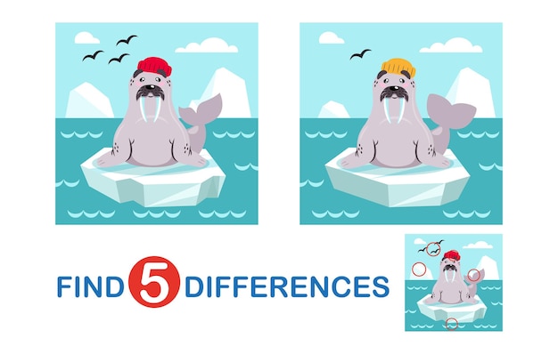 Find differences Walrus on ice Educational mini games for children learning