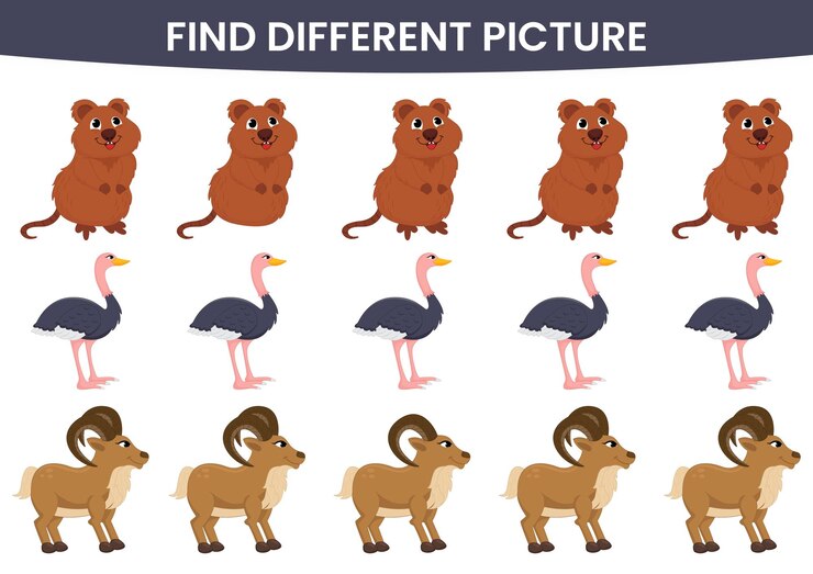 Vector find different picture worksheet for kids