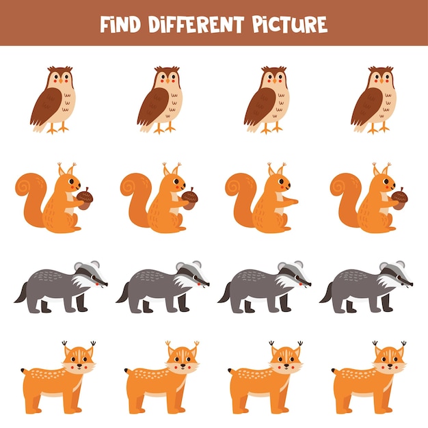 Find different woodland animal in each row Logical game for preschool kids