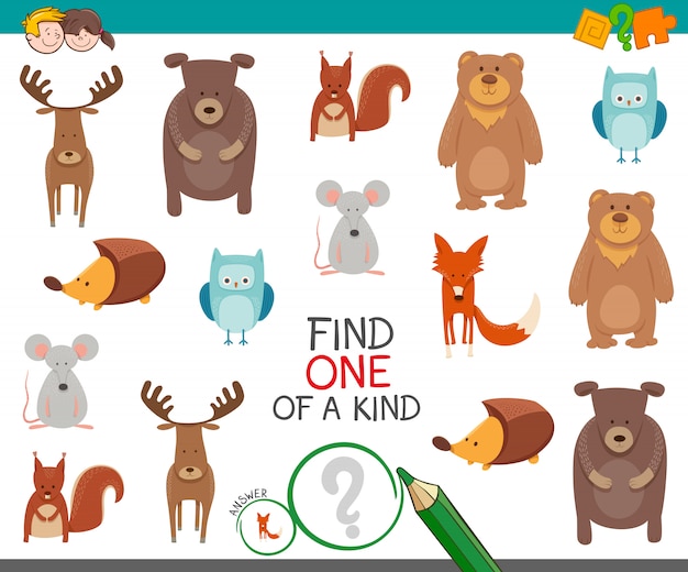 Find one of a kind educational game for kids with animals