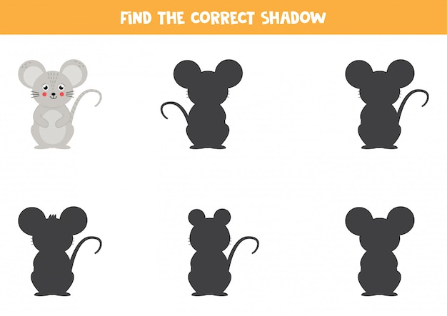 Find the right shadow of mouse. Educational game for kids.