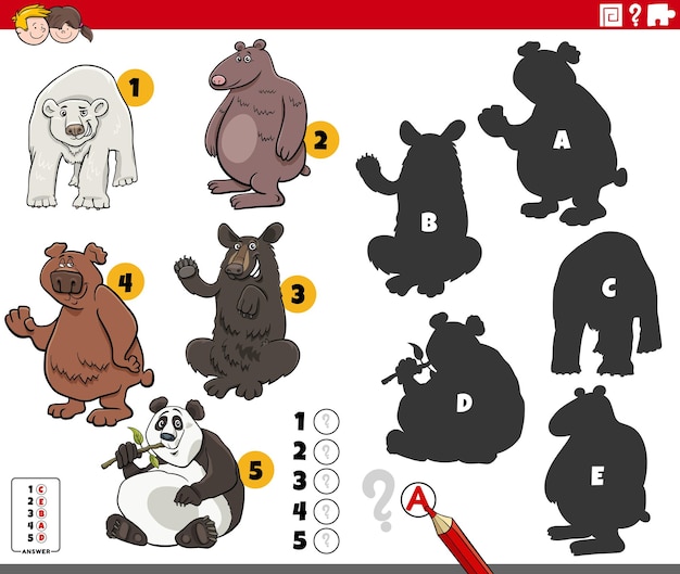 find the right shadows to the pictures game with cartoon bears