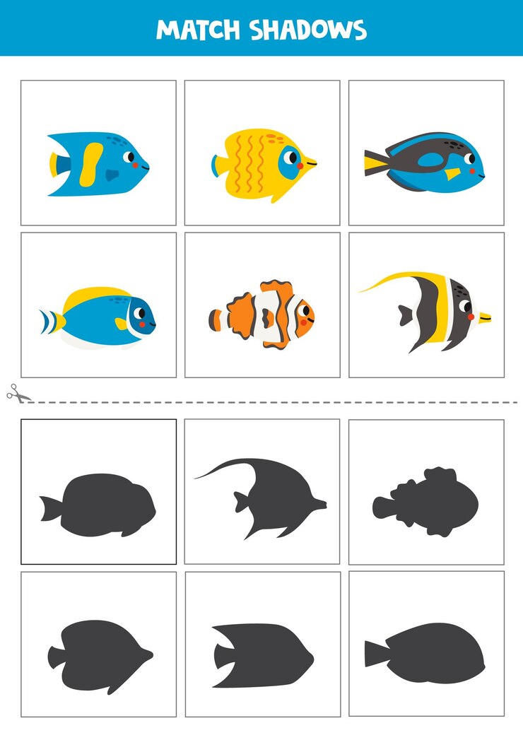 Vector find shadows of cute sea fish cards for kids