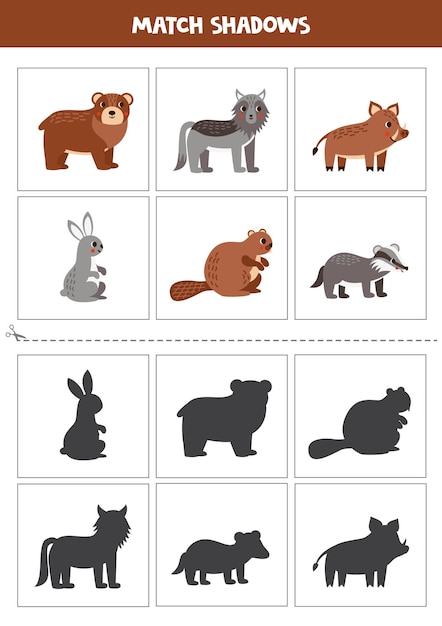 Find shadows of cute woodland animals cards for kids