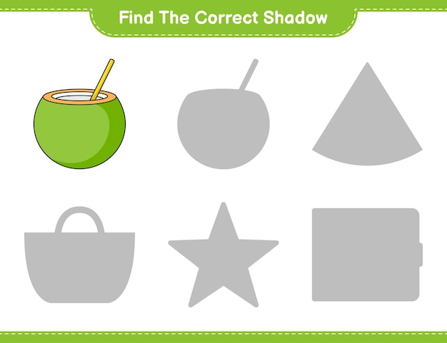 올바른 그림자 찾기 코코넛 교육 어린이 게임의 올바른 그림자를 찾아 일치시킵니다.