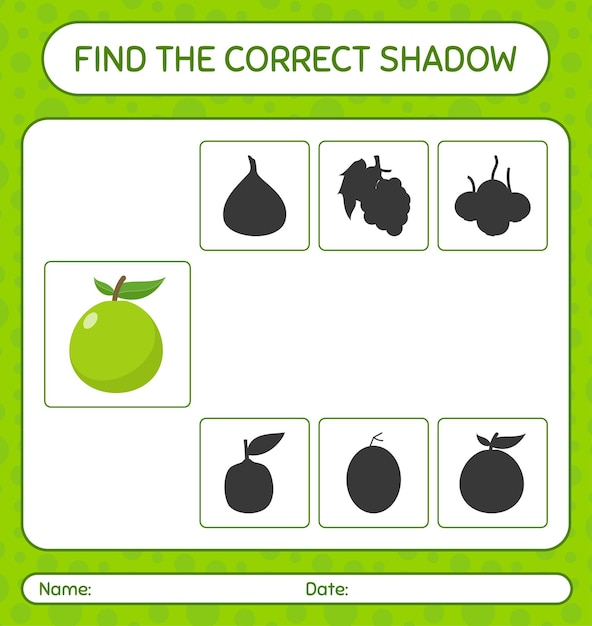 グアバで正しい影のゲームを見つけてください。就学前の子供のためのワークシート、子供向けアクティビティシート